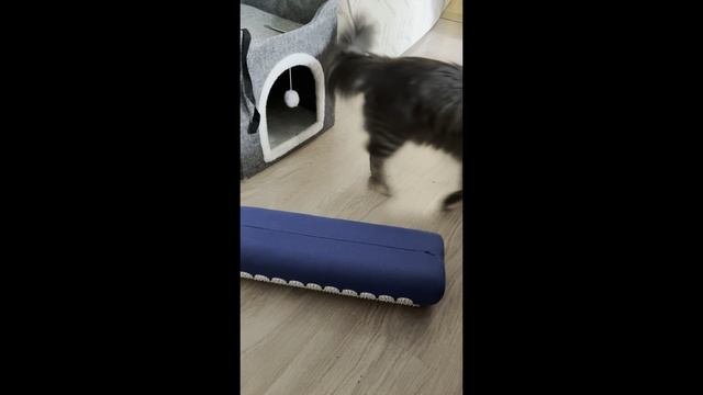 Денег нет. Всё делаем сами.