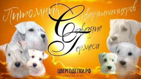 САГА О ПИТОМНИКЕ