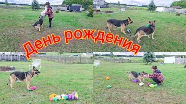 Сельчанка в Америке. ДЕНЬ РОЖДЕНИЯ У НАШЕЙ ВАНДЫ!!