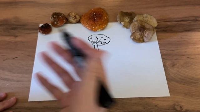 🍄 МУХОМОР ПОМОГ НАЙТИ СЕБЯ ПАНТЕРНЫЙ МИКРОДОЗИНГ ЕЖО