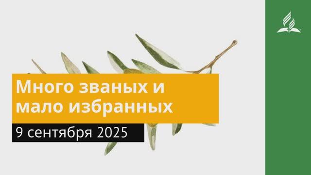 9 сентября 2025. Много званых и мало избранных. Под сенью благодати