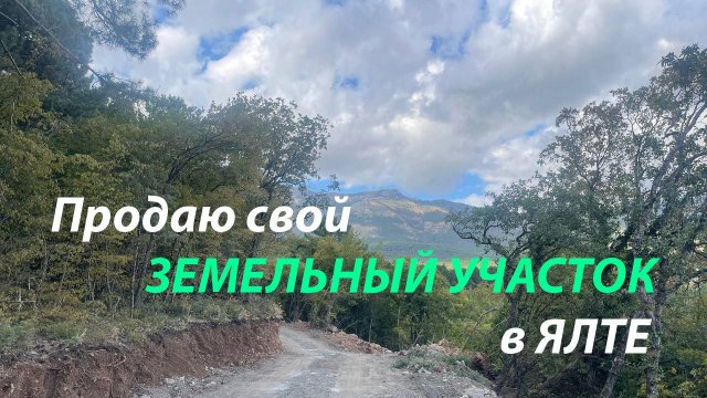 Продаю свой земельный участок в Ялте. Горы, лес, сосны.