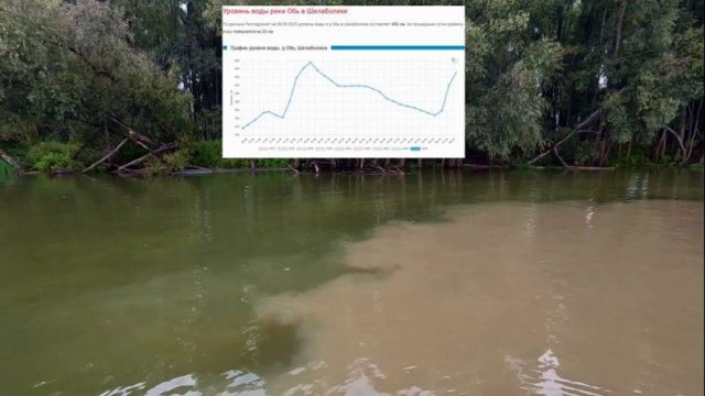 РЕЗКИЙ ПОДЪЕМ, ВОДА КАК ГЛИНА ! Остатки роскоши в протоках ! Рыбалка на Оби 8 сентября 2025г.