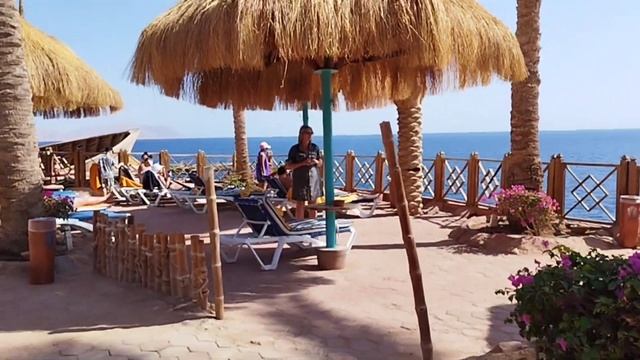 Обзор отеля Pickalbatros Luxury Suites Resort в Шарм Эль шейх.