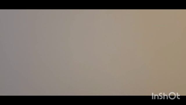 Ольга 1972 ??? Обзор на канал дачницы. 5 апреля 2025 г.