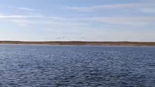 В ГЛУШЬ НА ЛОДКЕ МЕЧТЫ!!! ОБЗОР И ДИКАЯ РЫБАЛКА В ДАЛИ ОТ ДОМА С НОЧЁВКОЙ!!!!