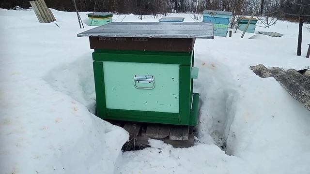 ВЫВОД пчелиной семьи ИЗ РОЕВОГО состояния.