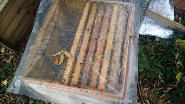 Обработка пчел бипином осенью. Как обработать пчел от