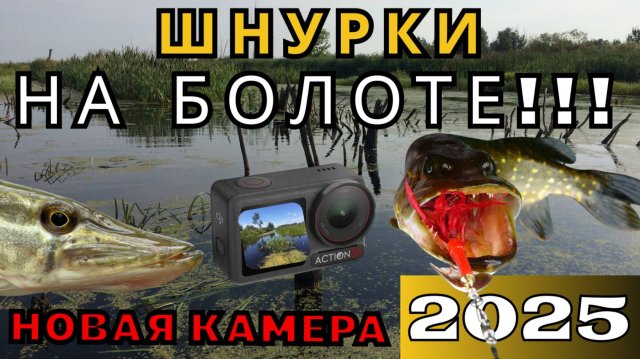 ЩУКА НА БОЛОТЕ! Шнурки одолели! Съемки на новую камеру DJI Osmo Action 5 Pro.