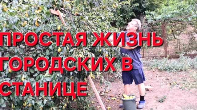 748 Простая жизнь в станице на юге. Лето заканчивается. Ждём грозу.