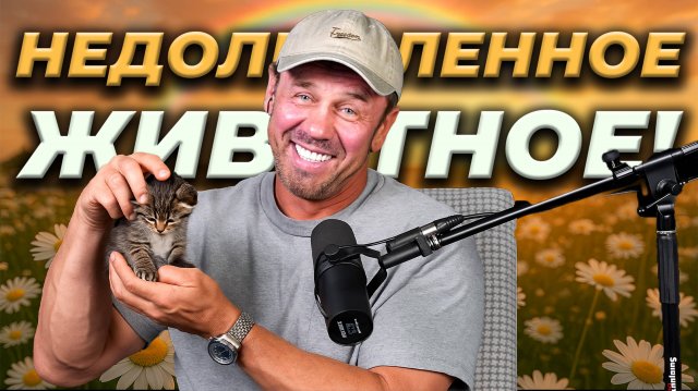 ВСЁ! ПРИСТАВЫ ЗАБЕРУТ ДЕТСКИЕ ИГРУШКИ!
