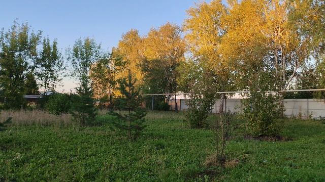 10-09-2025 деревенская атмосфера, жизнь в деревне