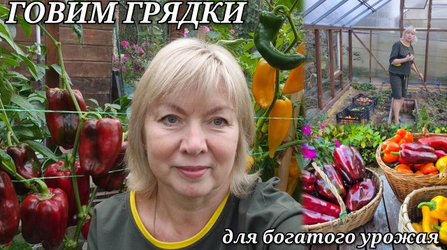 Секреты богатого урожая ГОТОВИМ ГРЯДКИ с осени Сею сидераты. СУПЕР-ПЕРЕЦ. ЗАГОТОВКИ