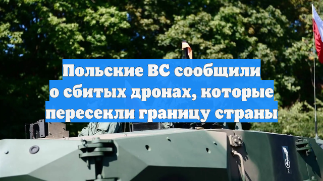 Польские ВС сообщили о сбитых дронах, которые пересекли границу страны