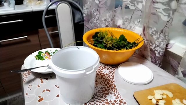 Солю белые грузди на зиму.