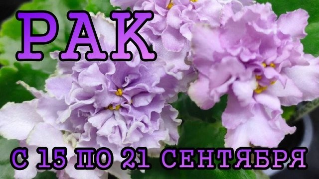 РАК таро прогноз на неделю с 15 по 21 СЕНТЯБРЯ 2025 года.