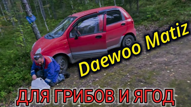 ПОКАТУШКИ ПО ЛЕСНЫМ ДОРОГАМ ЗА ГРУЗДЯМИ И БЕЛЫМИ НА DAEWOO MATIZ