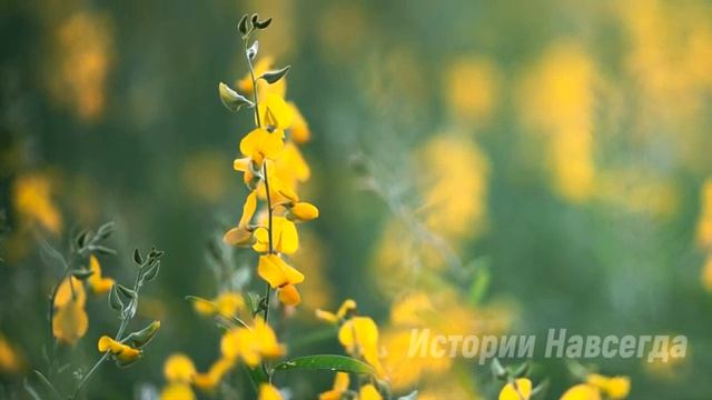 «Куда я смотрел, когда женился на тебе». От ответа супруги он…