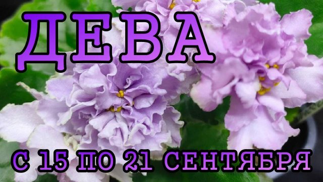 ДЕВА таро прогноз на неделю с 15 по 21 СЕНТЯБРЯ 2025 года.