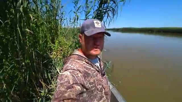 РЫБАЛКА НА ЛЯГУШКУ, ЧЕРВЯ И ЖМЫХ. СОМ И САЗАН, ОБВЕЛИ ВОКРУГ ПАЛЬЦА. Июль в само