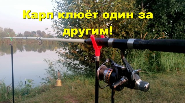 Рыбалка! КАРП клюёт один за другим! ТУМАН такой, что ТРУДНО ДЫШАТЬ!
