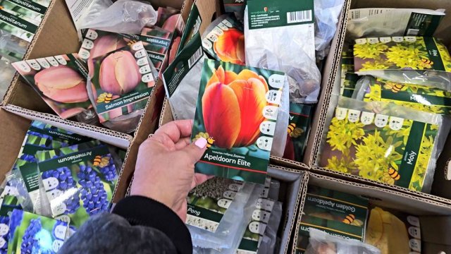 Магазин Светофор.Нужные новинки.И мои покупки