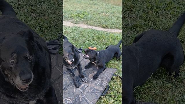 1000008094.mp4