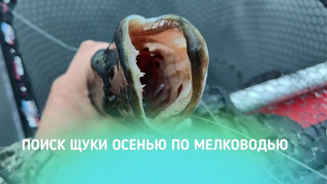 ПОИСК ЩУКИ ОСЕНЬЮ ПО МЕЛКОВОДЬЮ!!! ЧТО СЛУЧИЛОСЬ С ЛОДКОЙ И КАК ЭТО ИСПРАВИТЬ?