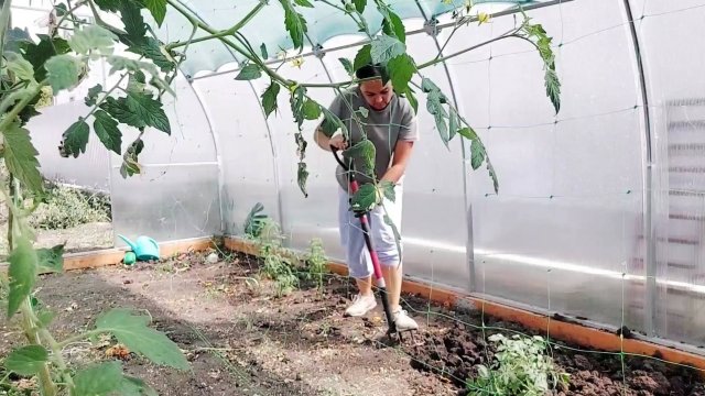 290 Жизнь на юге. Цены на рынке. Все учат жизни. Перекопала в теплице. Ремонт продолжается.