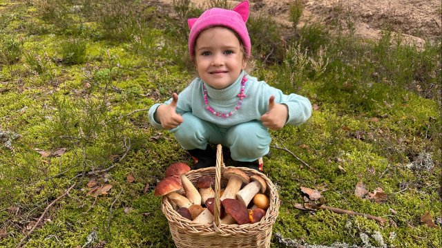 Тихая охота с любимой дочкой | Очень щедрый сосновый лес подарил нам много грибов | ГРИБЫ 2025