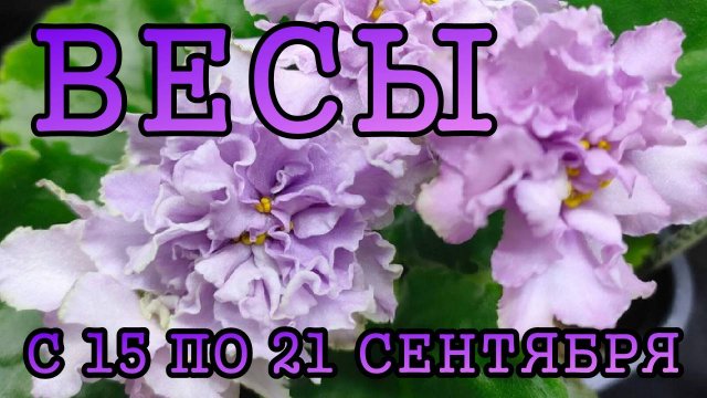 ВЕСЫ таро прогноз на неделю с 15 по 21 СЕНТЯБРЯ 2025 года.