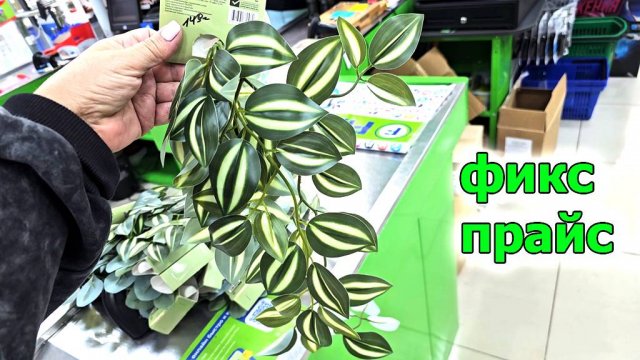 Фикс прайс.Опять все самое интересное