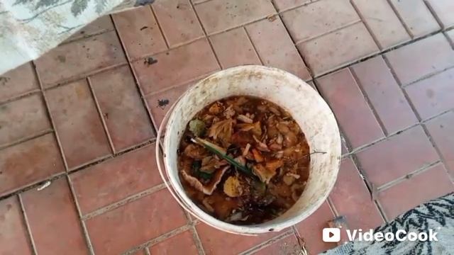 Опята сушим