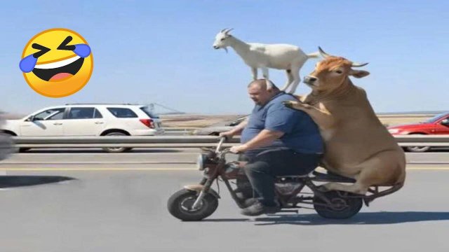 60 МИНУТ НЕВОЗМОЖНО 🤣 ОСТАНОВИТЬСЯ СМЕЯТЬСЯ САМЫЕ НЕЛЕПЫЕ И РЖАЧНЫЕ ПРИКОЛЫ 2025 УГАРНАЯ ПОДБОРКА