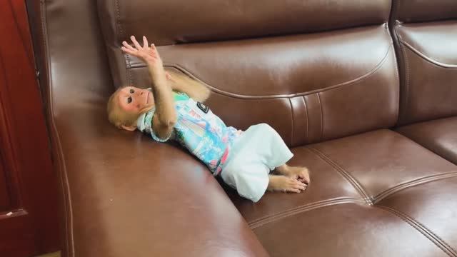 Обезьянка МАЛЕХА мамев воде собирала Грязнуля Купается Плавает Прыгает СМЕШИНКА