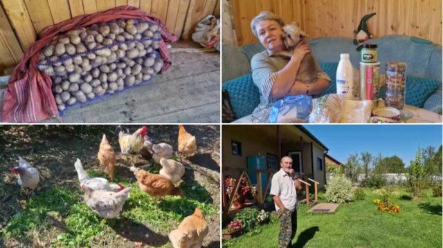 КУПИЛИ КАРТОШКУ И ЕЩЕ КОЕ ЧЕГО, ПОСМОТРИМ ПОКУПКИ. ПЕДРО ПОЛУЧИЛ ЗВЕЗДЮЛЕЙ.