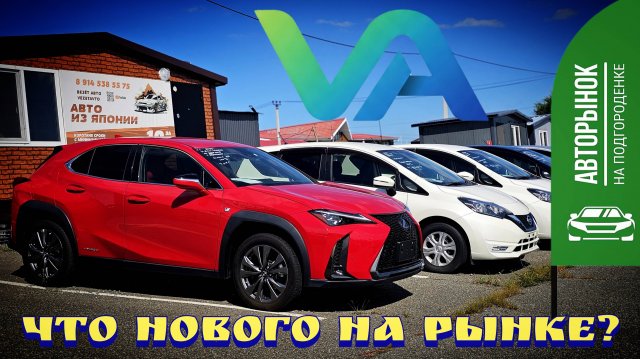 ЧТО НОВОГО НА РЫНКЕ