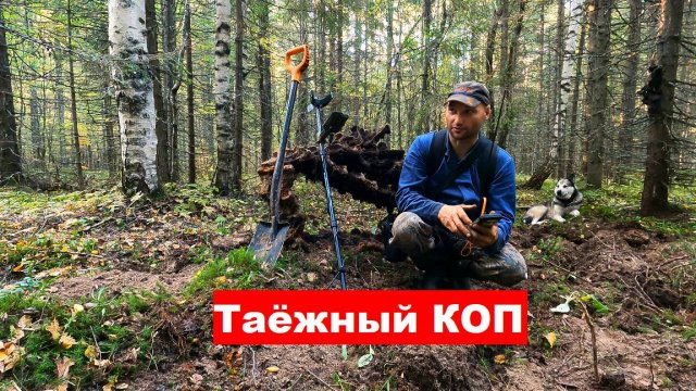 Поиск МЕТАЛЛА на лесовозных ЖЕЛЕЗНЫХ ДОРОГАХ СССР. Копаю РЕЛЬСЫ и ЛЕНТЫ ТРАКОВ!