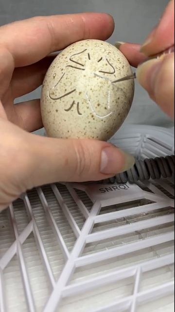 для Галочки