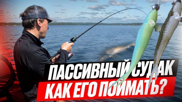 Пассивный судак - как его поднять со дна? Тестируем FRAPP PLACOID