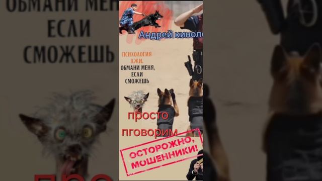 Стебемся над продлевателями 404