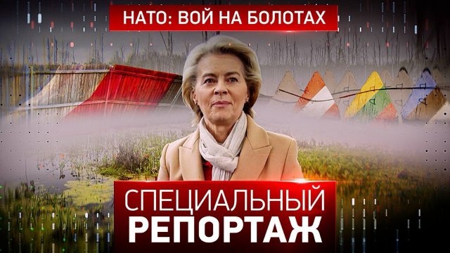НАТО: вой на болотах