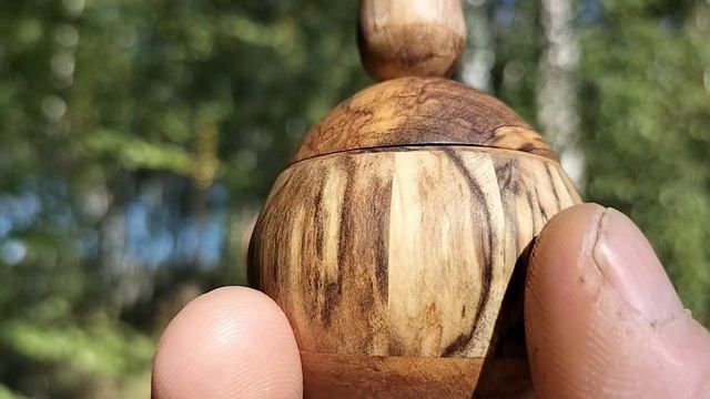 Шкатулка в дупле березы. Сентябрь 2025