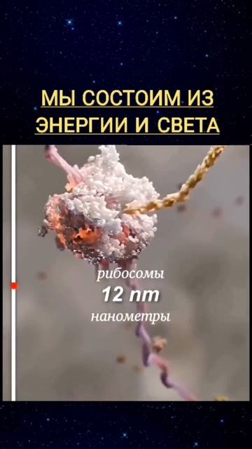 Мы состоим из ЭНЕРГИИ и СВЕТА🔥