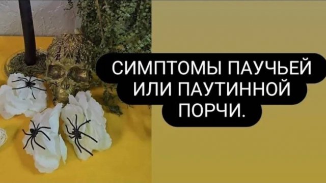 Симптомы паучьей порчи. #паучьяпорча #симптомыпаучьейпорчи