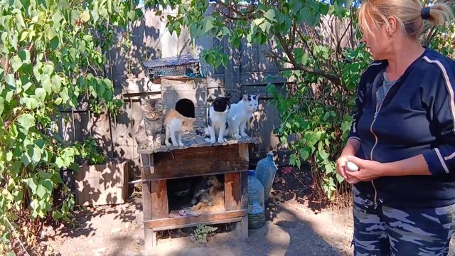 Жизнь в деревне. Посылка от детей Управляю хозяйство