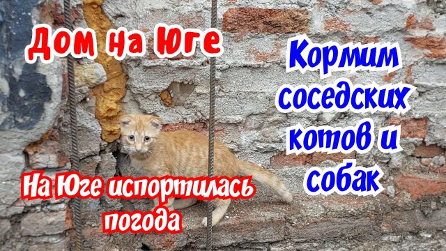 Дом на Юге. Переделываю отопление. Кормим соседских котов и собак.