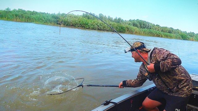 ТРОФЕЙ ВЛЕТЕЛ НА ЗАКАТЕ. РЫБАЛКА НА САЗАНА. На донку и червя, жмых, макуха.