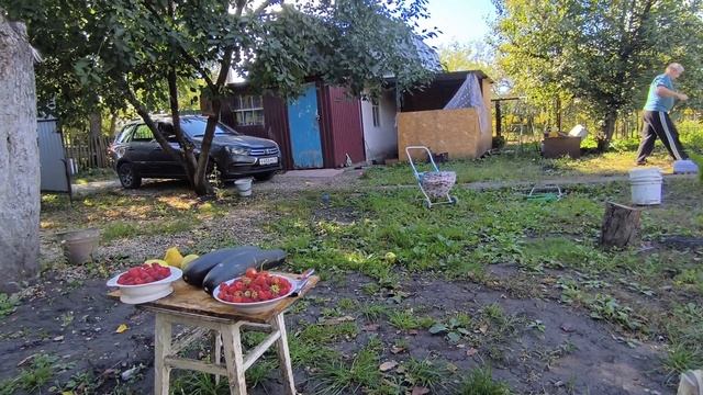 Помочь бы но я не умею,или ленюсь 🤦✅‼️