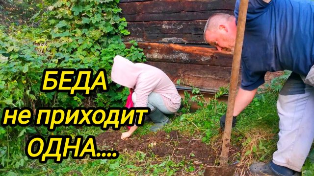 КУПИЛИ ДОМ В ДЕРЕВНЕ | БЕДА НЕ ПРИХОДИТ ОДНА | Дом в деревне | Деревенская жизнь